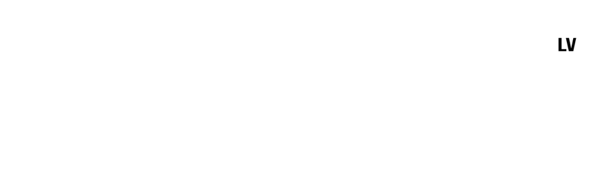 The Citizens LV Logo